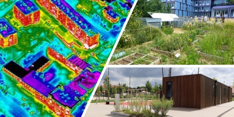 La lutte contre les îlots de chaleur urbain // Urban Canopée