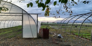 Villes nourricières : l’exemple de la ceinture verte maraîchère qui se dessine autour de Pau