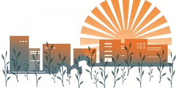 Webinaire Confort d’été