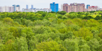 La mode des « forets urbaines » ?