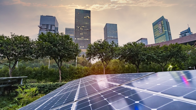 Mint, fournisseur d’énergie et de téléphonie pour un monde plus vert, plus juste et plus responsable