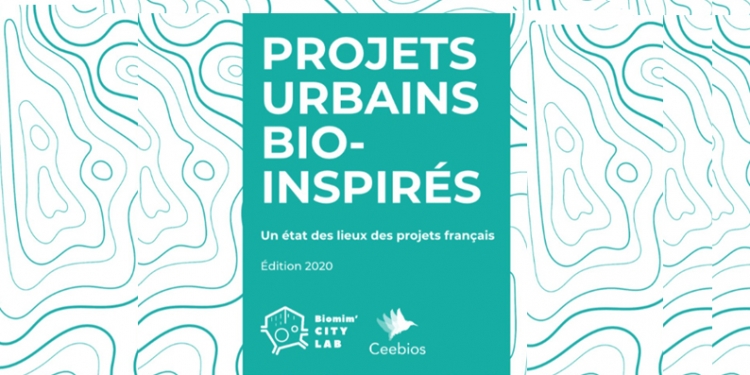 Projets urbains bio-inspirés : vers des villes régénératives