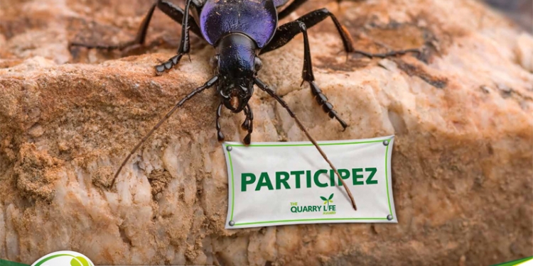 Quarry Life Award: HeidelbergCement lance la 5ème édition de son concours