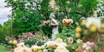 L’accès aux espaces verts locaux améliore la santé mentale