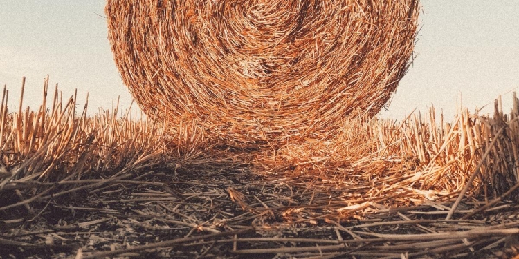 Outil en ligne d’auto-déclaration : Référencement de bâtiments intégrant des matériaux biosourcés et géosourcés frugaux en Grand Est