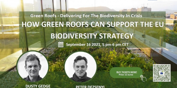 Comment les toitures végétalisées peuvent participer à la stratégie européenne en faveur de la biodiversité | EFB