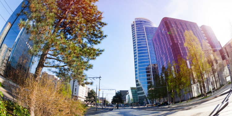 La part-dieu à Lyon : des arbres à la place de nouvelles tours ?