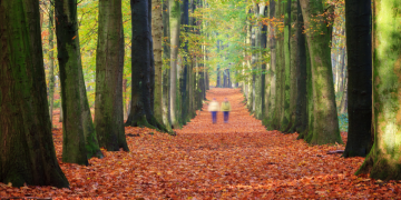 Tour piéton du grand Paris : réaffirmer la place du piéton en île-de-france