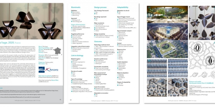 Concevoir des façades de bâtiment bio-inspirées : revue comparative d’enveloppes bâties inspirées du vivant