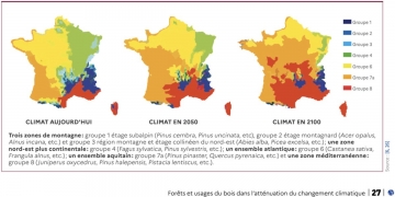 Construire en bois feuillus