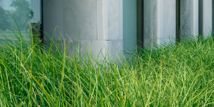 Exposition : imaginer la fabrique de la ville par une nouvelle vision des sols