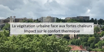 La végétation urbaine face aux fortes chaleurs et l’impact sur le confort thermique