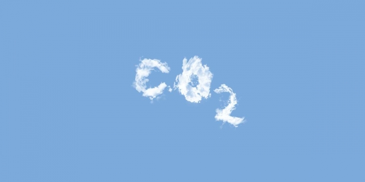 “Carbon Capture”, solution miracle ou miroir aux alouettes ?