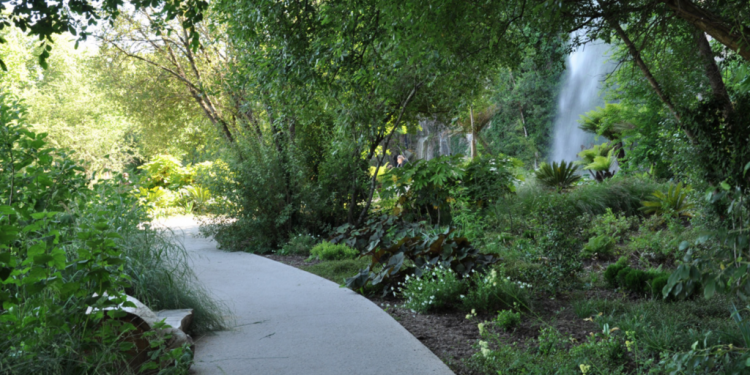 L’avenir vert selon Phytolab