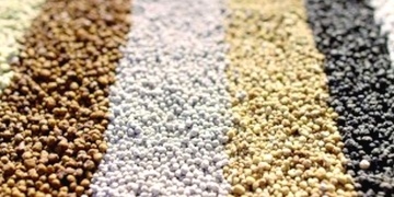 OCP: résultat d’exploitation de 23,87 MMDH au S1