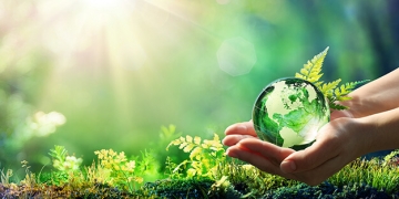 Dématérialisation des procédures liées au domaine de l’environnement