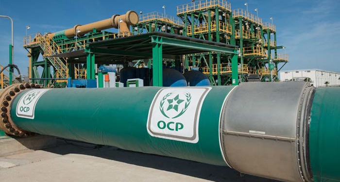 ESG : le Groupe OCP poursuit sa progression sur les notations de Sustainalytics et CDP