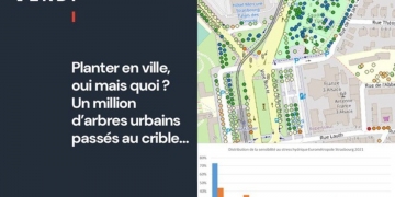 Un million d’arbres urbains passés au crible