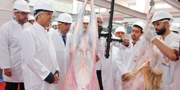 La Province de Berkane modernise l’infrastructure de ses abattoirs