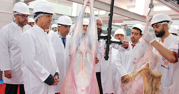 La Province de Berkane modernise l’infrastructure de ses abattoirs