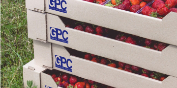 Gharb Papier et Carton, filiale de Ynna, confirme son leadership au Maroc