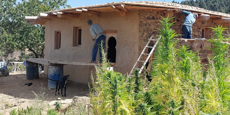 Projet DAR AL KIF : transformer le cannabis en matériaux durables