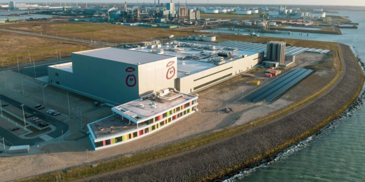 Le mélangeur , Innocent – Netherlands